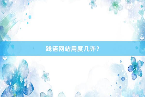 践诺网站用度几许？