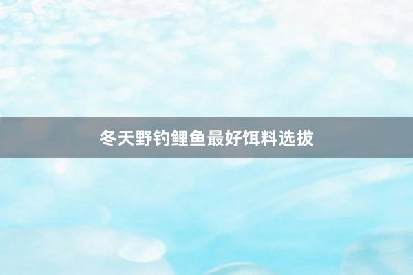 冬天野钓鲤鱼最好饵料选拔